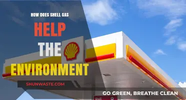 Shell Gas Innovations: Sustainable Energy Solutions for a Greener Future