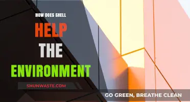 Shell's Green Initiatives: Sustainable Practices for a Healthier Planet