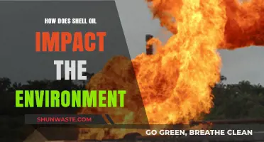 Shell Oil's Environmental Impact: Pollution, Ecosystems, and Climate Change