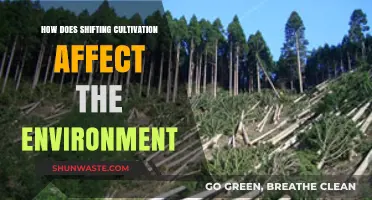 Shifting Cultivation's Environmental Impact: Benefits, Drawbacks, and Sustainability