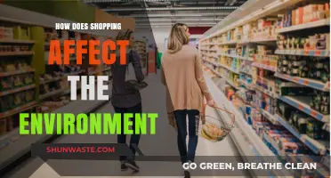 Shopping's Environmental Impact: Uncovering the Hidden Costs of Consumerism