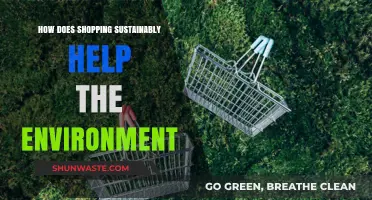 Sustainable Shopping: How Eco-Friendly Choices Protect Our Planet