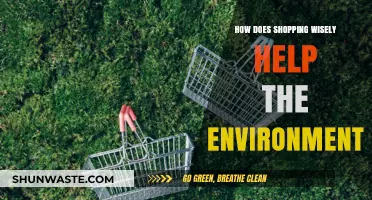 Sustainable Shopping: How Wise Choices Protect Our Planet and Future