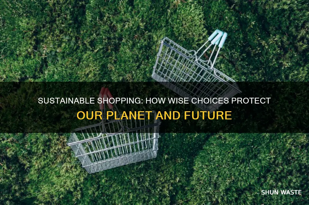 how does shopping wisely help the environment