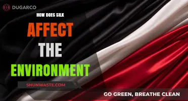 Silk's Environmental Impact: Sustainability, Production, and Eco-Friendly Alternatives