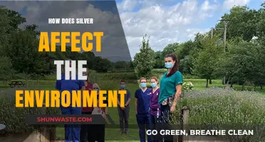 Silver's Environmental Impact: Effects on Ecosystems and Sustainability Explained