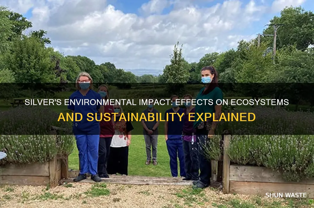 how does silver affect the environment