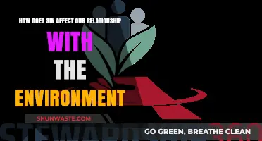 Sin's Impact: How Moral Failures Harm Our Environmental Stewardship