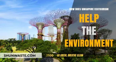 Singapore's Ecotourism: Sustainable Practices Protecting Nature and Biodiversity