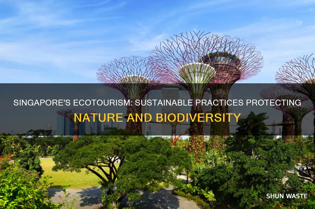 how does singapore ecotourism help the environment
