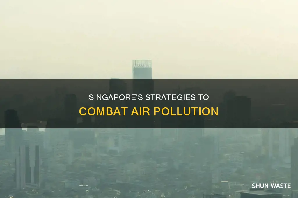 how does singapore reduce air pollution