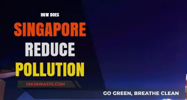 Singapore's Green Revolution: Strategies for Pollution Reduction
