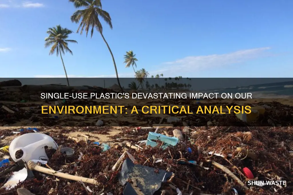 how does single use plastic affect the environment