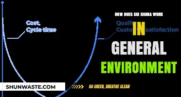 Understanding Six Sigma's Role in Enhancing General Work Environments