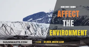 Skiing's Environmental Impact: Balancing Winter Recreation with Nature's Health
