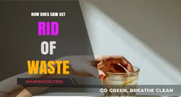 Skin's Detox Secrets: How Your Body Eliminates Waste Naturally