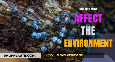 Slime's Environmental Impact: Uncovering Its Hidden Ecological Consequences