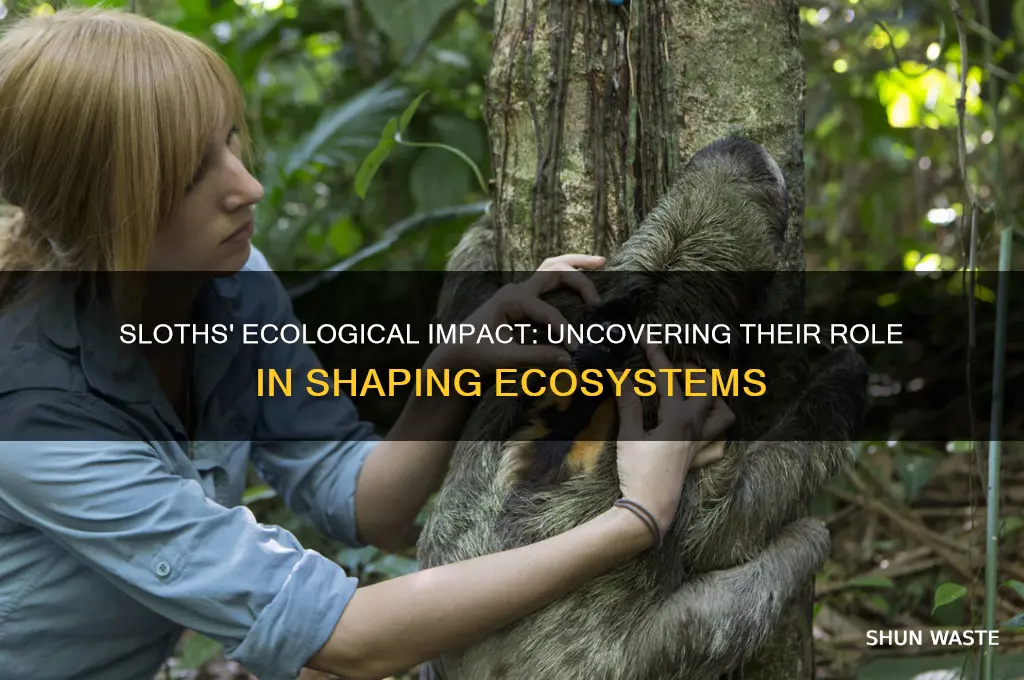 how does sloths affect the environment