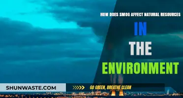 Smog's Impact: How Air Pollution Depletes Our Natural Resources