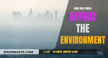 Smog's Impact: Environmental Hazards and Health Risks