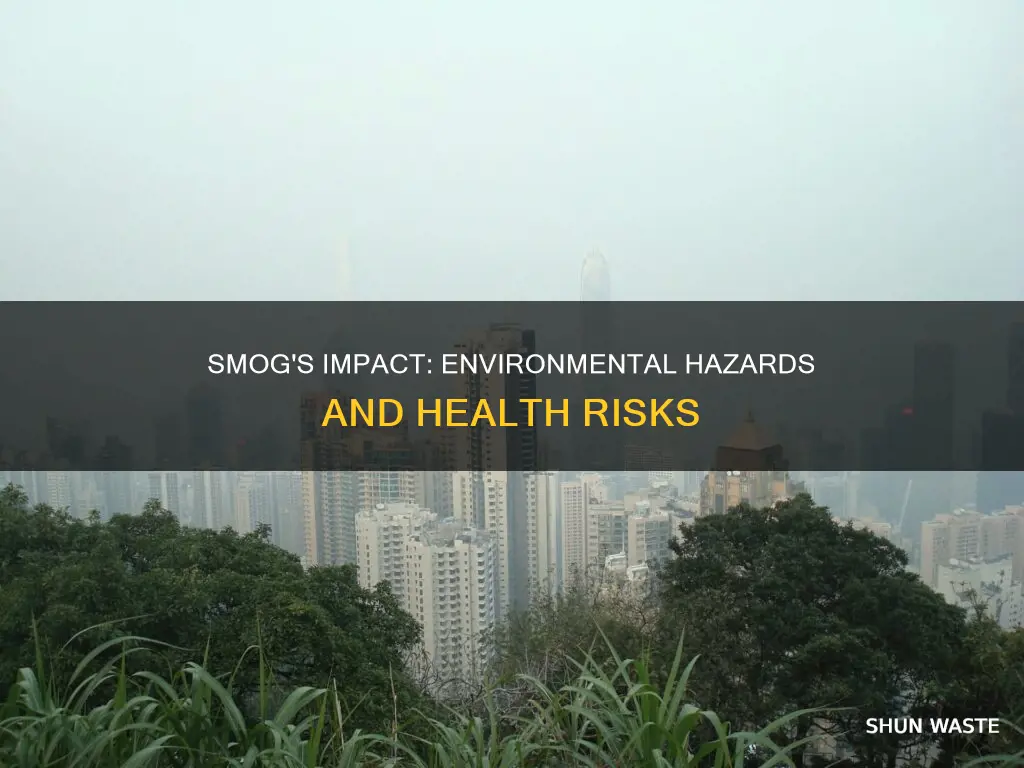 how does smog affect the environment