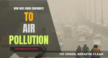 Smog's Sinister Role in Air Pollution