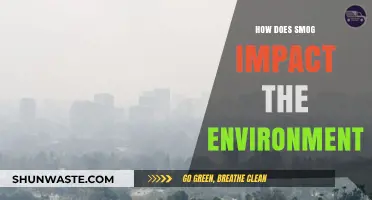 Smog's Environmental Toll: Air Pollution's Devastating Impact on Our Planet
