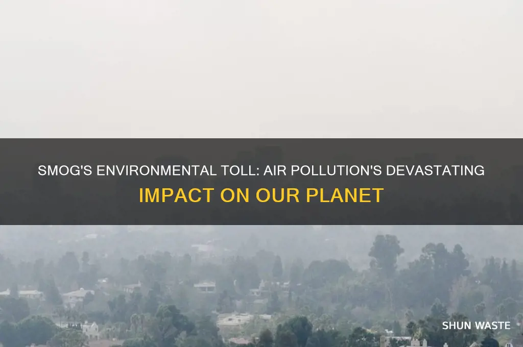 how does smog impact the environment
