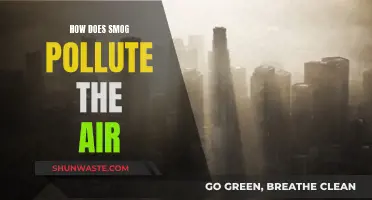 Smog and Air Pollution: Understanding the Haze