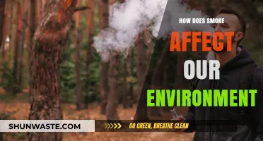 Smoke's Environmental Impact: Air, Climate, and Ecosystem Consequences Explained
