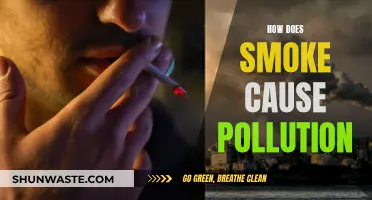 Unveiling the Impact: Smoke's Role in Environmental Pollution