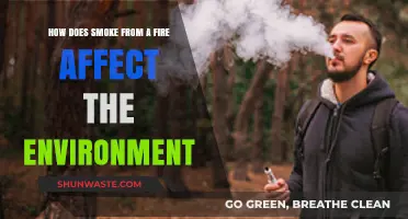 Smoke's Environmental Impact: Unveiling Fire's Hidden Ecological Consequences