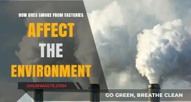 Factory Smoke Emissions: Environmental Impact and Long-Term Consequences Explained