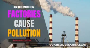 Factory Smoke: The Hidden Culprit of Air Pollution