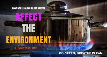 Stove Smoke's Environmental Impact: Pollution, Climate, and Health Concerns