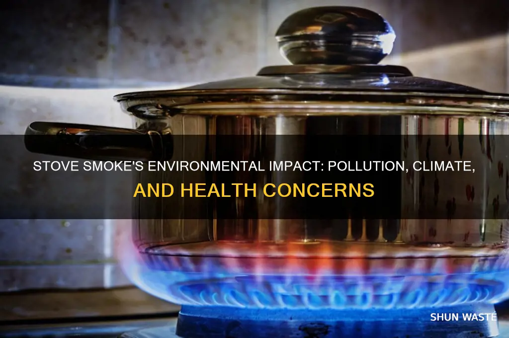 how does smoke from stoves affect the environment