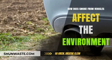 Vehicle Emissions: Uncovering the Environmental Impact of Smoke Pollution