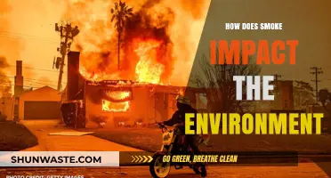 Smoke's Environmental Toll: Air, Climate, and Ecosystem Consequences Explained