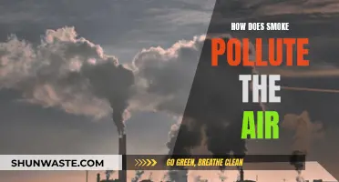 Smoke Pollution: Understanding Its Impact on Air Quality
