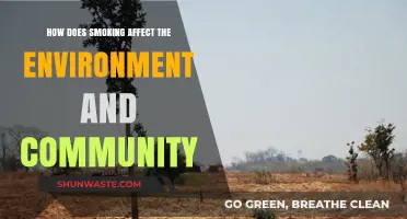 Smoking's Impact: Environmental Degradation and Community Health Consequences