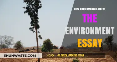 Smoking's Environmental Impact: Pollution, Deforestation, and Climate Change Explained