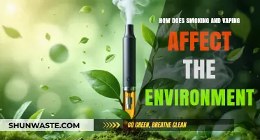 Smoking, Vaping, and the Environment: Uncovering the Hidden Ecological Impact