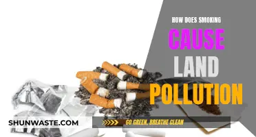 Smoking's Hidden Impact: How It Contributes to Land Pollution