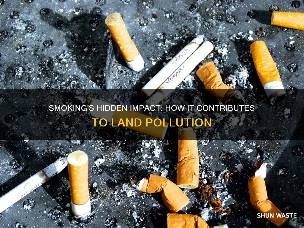 how does smoking cause land pollution