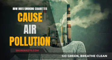 Cigarettes: A Major Contributor to Air Pollution