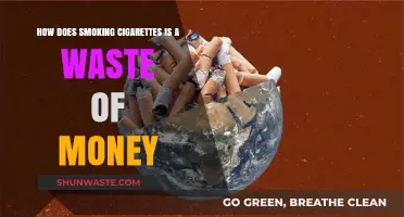 Smoking Cigarettes: A Costly Habit Draining Your Finances and Health