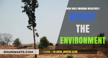 Smoking's Environmental Impact: Pollution, Deforestation, and Climate Change