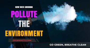 Smoking's Environmental Impact: Harmful Pollution and its Effects