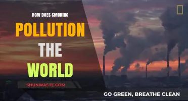 Smoking's Global Impact: Pollution's Deadly Reach