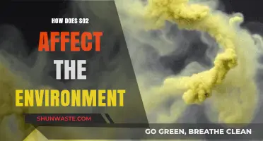 SO2's Environmental Impact: Air, Water, and Ecosystem Consequences Explained